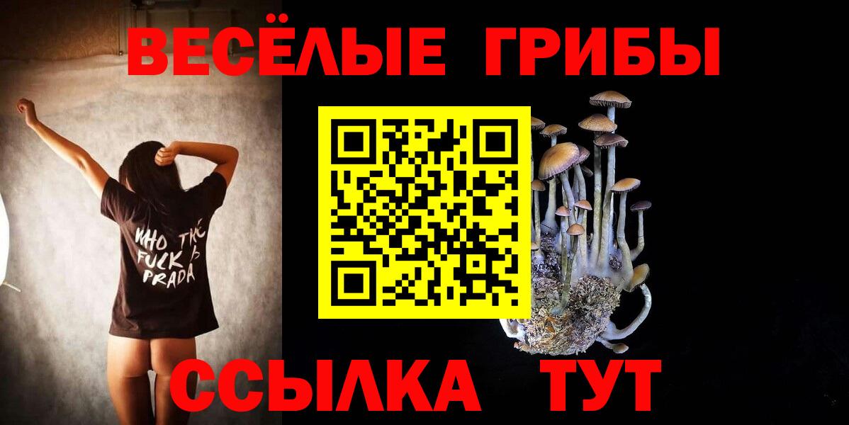Краснокаменск  Галлюциногенные грибы прущие грибы  Вход с VPN 