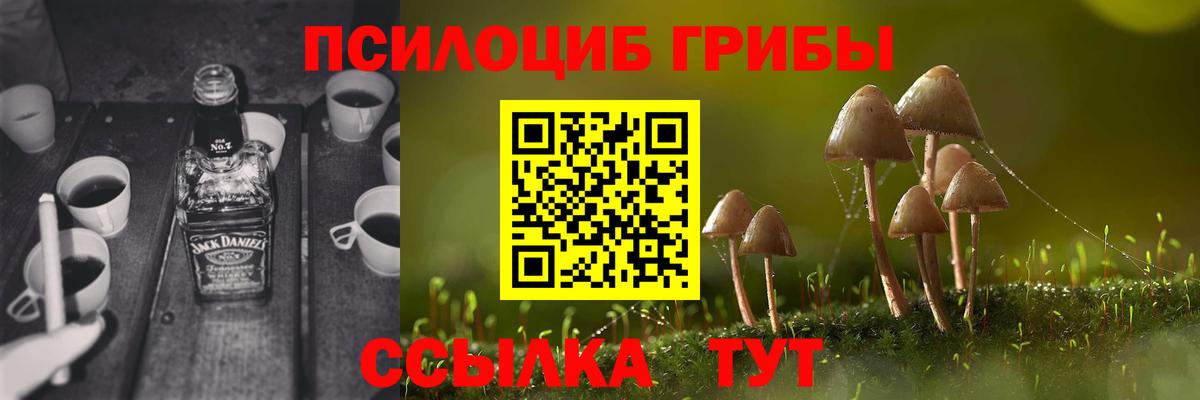 Псилоцибиновые грибы мухоморы Краснокаменск
